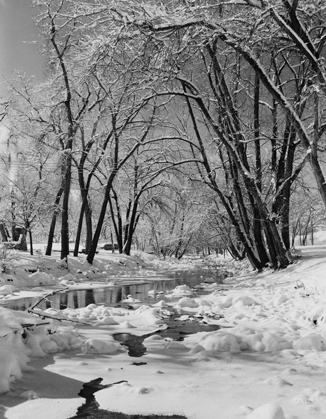 无人,竖图,黑白,室外,白天,河流,森林,雪,美国,地形,冬天,冰川,树,风景,小溪,摄影,宁静,科罗拉多州