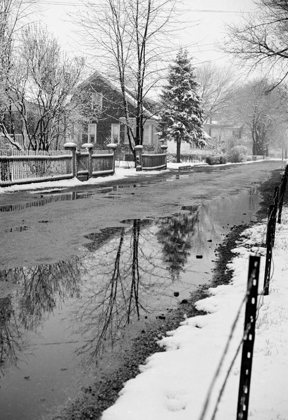 无人,竖图,黑白,室外,白天,雪,建筑,美国,融化,反射,篱笆,乡村,春天,摄影,长岛,纽约州,水坑