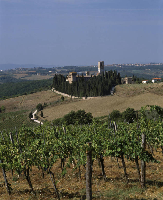 无人,教堂,竖图,俯视,室外,白天,农业,美景,山,植物,建筑,意大利,欧洲,节日,景观,文化,葡萄园,树,风景,自然,祈祷,健康,景色,许愿,摄影,宗教,信仰,纪念,宁静,祈求,基督教,托斯卡纳,地中海文化,南欧,天主教,自然风光,意大利文化,托斯卡纳区,万里无云,意大利共和国,托斯卡纳大区,修院,奇扬第,平安,彩图,高角度拍摄