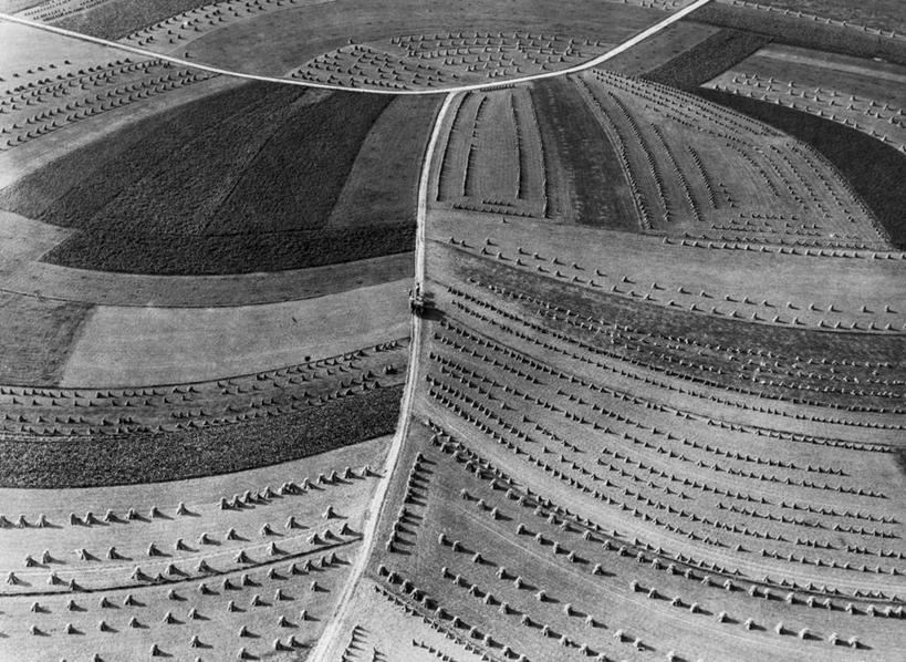 无人,横图,俯视,航拍,黑白,室外,白天,农业,农作物,美景,景观,田地,干草,自然,草垛,景色,摄影,生长,鸟瞰,自然风光,联合收割机,式样,干草垛,高角度拍摄