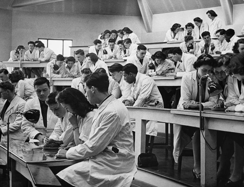 成年人,人群,医生,坐,横图,黑白,室内,讨论,英国,欧洲,长椅,许多人,教育,注视,书桌,英格兰,教科书,观察,看,一群人,读书,摄影,观看,察看,专心,麦克风,知识,关注,实验服,贡献,年轻男性,年轻女性,年轻人,大学生,大学