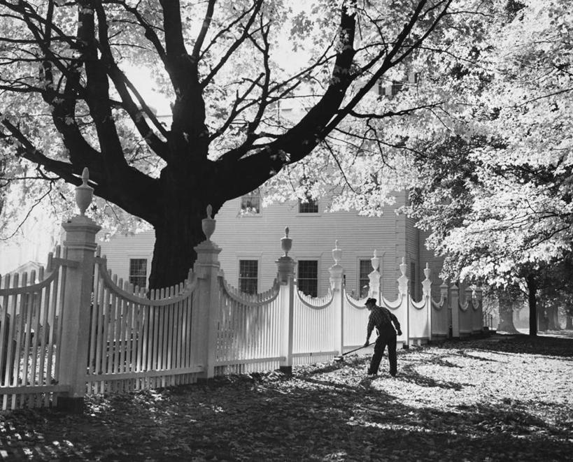 成年人,中年人,老年人,一个人,清洁工,横图,黑白,室外,白天,建筑,街道,路,日光,仅一个男性,阴影,朦胧,模糊,扫帚,房屋,篱笆,枝,树,工人,职业,季节,服务,摄影,落下,打扫,住房,剪影,老年男性,中年男性,员工,秋天,匠人,劳动者,体力工