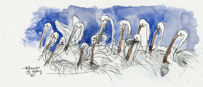 无人,横图,全景,插画,室外,白天,绘画,数码,科技,美国,一群,许多,阴影,丰富,艺术,网络,鸟类,很多,高光,几何,计算机图形,古典,合成,图画,文化,画,天空,工艺品,品味,颜料,美术,电脑合成图,数码合成图,北美,高雅,北美洲,合成图,美洲,漫画,鹈鹕,佛罗里达,佛罗里达州,佛州,阳光州,写实,具体,具象,美学,北亚美利加洲,亚美利加洲,一致,美术工艺,团结,彩图,美利坚合众国,圣约翰河