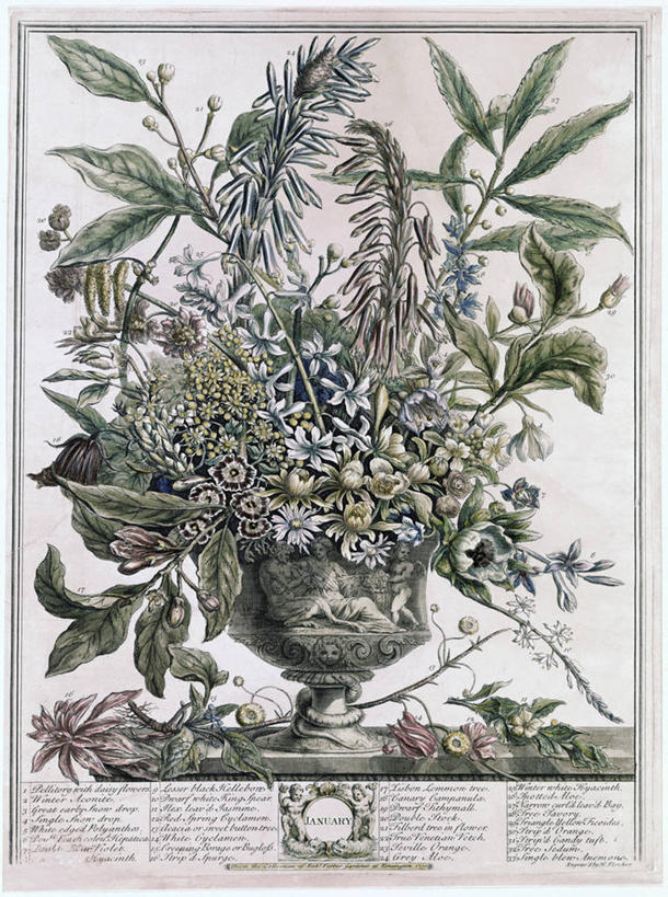 无人,竖图,插画,数码,科技,静物,花瓶,阴影,丰富,印刷,网络,文字,冬天,高光,几何,计算机图形,合成,图画,画,花,排列,一个,单个,英文字母,电脑合成图,数码合成图,脆弱,合成图,清新,漫画,写实,具体,具象,彩图,平版印刷