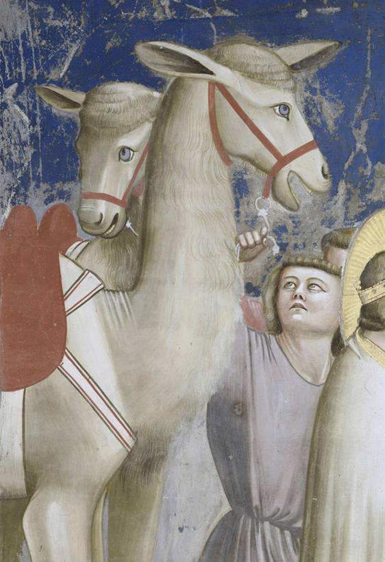 成年人,两个人,建筑师,画家,站,竖图,插画,室外,特写,数码,科技,意大利,阴影,庆祝,网络,高光,几何,计算机图形,文艺复兴,合成,图画,骆驼,画,动物,向上看,两只,宗教,电脑合成图,数码合成图,控制,基督教,合成图,漫画,写实,具体,具象,帕多瓦,乔托.迪.邦多纳,彩图