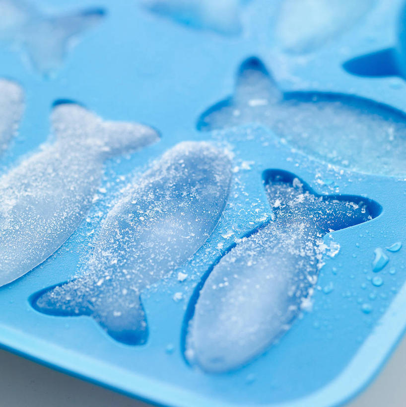 无人,竖图,俯视,室内,特写,白天,阴影,灰色背景,反射,鱼,影子,塑料,冰,冰块,冷冻,鱼类,盒子,一个,蓝色,容器,塑料制品,寒冷,摄影,影棚,冷藏,单个,储藏,冰冷,储存,保鲜,彩图,高角度拍摄,影棚拍摄,拍摄,冰格,制冰盒,贮存