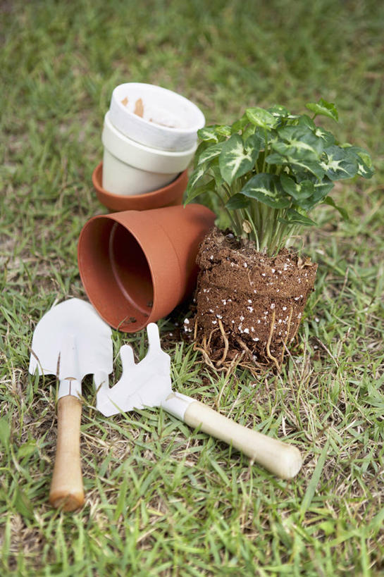 无人,竖图,俯视,室外,白天,草地,草坪,植物,花盆,金属制品,一把,阴影,朦胧,模糊,光线,金属,叉子,铲子,影子,陶瓷,泥土,土壤,陶瓷制品,草,三个,绿色,阳光,容器,储藏,储存,农具,耕具,彩图,高角度拍摄,干草叉,手铲,贮存