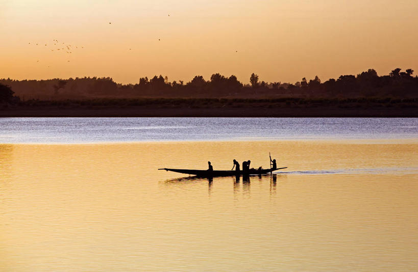 无人,竖图,室外,快乐,植物,英国,欧洲,霜,英格兰,藏红花,草,花,紫色,平原,春天,季节,摄影,保护,环境,番红花,早晨,清新,多塞特郡,西红花,彩图,西南英格兰,郊野公园
