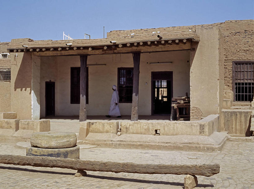 成年人,一个人,竖图,室外,鸟,鸵鸟,项链,羽毛,非洲,埃塞俄比亚,仅一个男性,轻盈,柔软,鸟类,珠子,摄影,轻柔,烟丝,男人,彩图