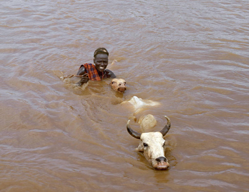 游泳,儿童,成年人,一个人,横图,室外,白天,农业,水下,河流,水,狗,牛,非洲,埃塞俄比亚,摄影,牧人,水坑,瘤牛,男人,彩图,传统文化