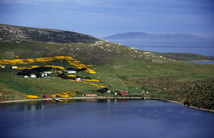 无人,横图,室外,山,房屋,屋顶,海岸线,花,黄色,大西洋,安静,摄影,宁静,住房,金雀花,福克兰群岛,农舍,树篱,海滩,彩图