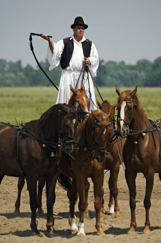 成年人,一个人,牛仔,竖图,室外,运动,草原,美景,马,欧洲,仅一个男性,表演,骑马,地形,景观,陆地,城镇,骑,风景,自然,景色,摄影,展览,缰绳,国家公园,自然风光,鞭子,马具,匈牙利共和国,男人,彩图