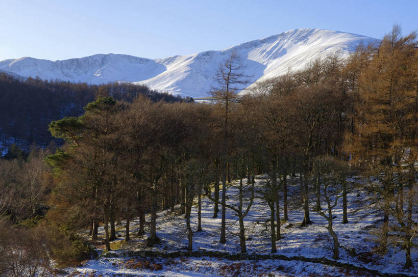 无人,横图,室外,雪,英国,欧洲,城堡,冬天,塔,摄影,要塞,威尔士,英国文化,彩图,旅行,斯诺登峰,北威尔士