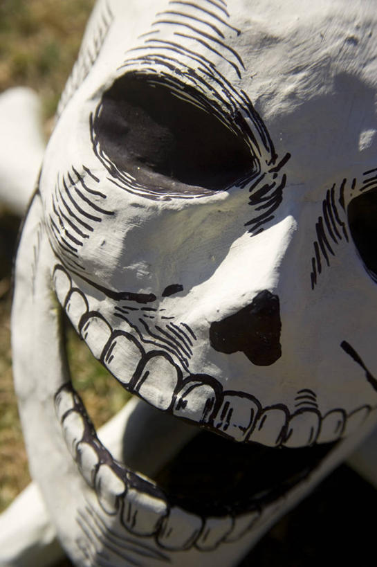 骨骼,无人,竖图,白天,墨西哥,美国,庆祝,装饰,人头骨,骨头,首都,万圣节,人体,摄影,死亡,骨架,北美,祭坛,墨西哥城,殒命,灭亡,圣人,美术工艺,彩图,旅行,死亡节,传统文化