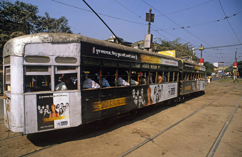 成年人,横图,水,印度,亚洲,乡村,骆驼,摄影,井,拉贾斯坦邦,男人,彩图,旅行