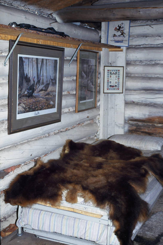 无人,横图,河流,森林,树林,窗户,加拿大,小的,化石,木制,房屋,树,摄影,住房,圆木,育空地区,彩图,钓鱼,小木屋,小屋,育空河