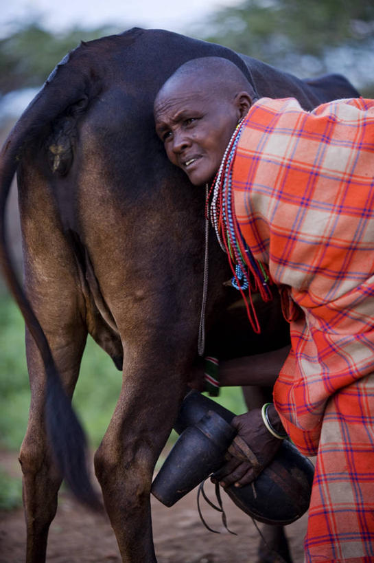 无人,横图,室外,时尚,床,卧室,酒店,非洲,肯尼亚,浪漫,摄影,服装店,华贵,彩图,旅行
