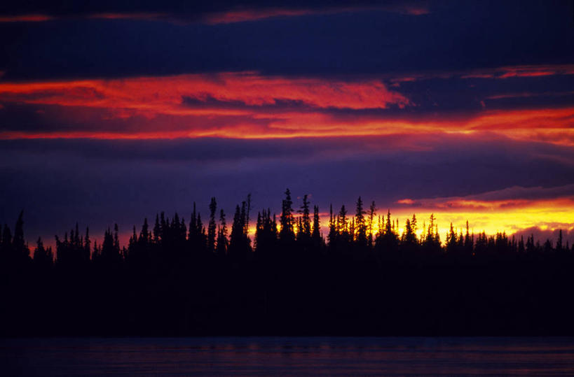 无人,横图,室外,日落,森林,水,太阳,美国,云,树,黄昏,橙色,摄影,剪影,彩图,育空河