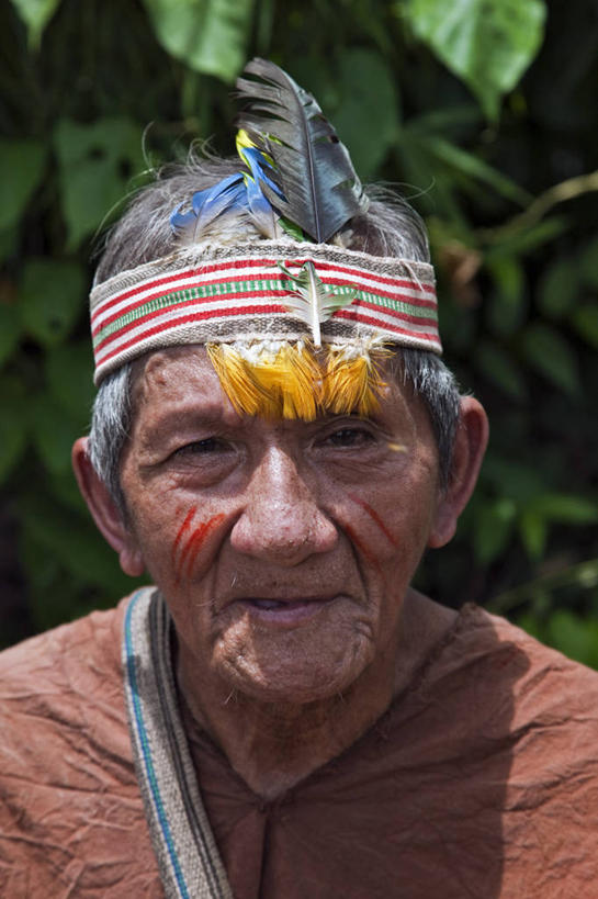 一个人,竖图,室外,野生动物,猴子,亚马逊河,秘鲁,树,动物,南美,摄影,拉丁美洲,热带雨林,灵长目,松鼠猴,彩图,旅行,林区,雨林