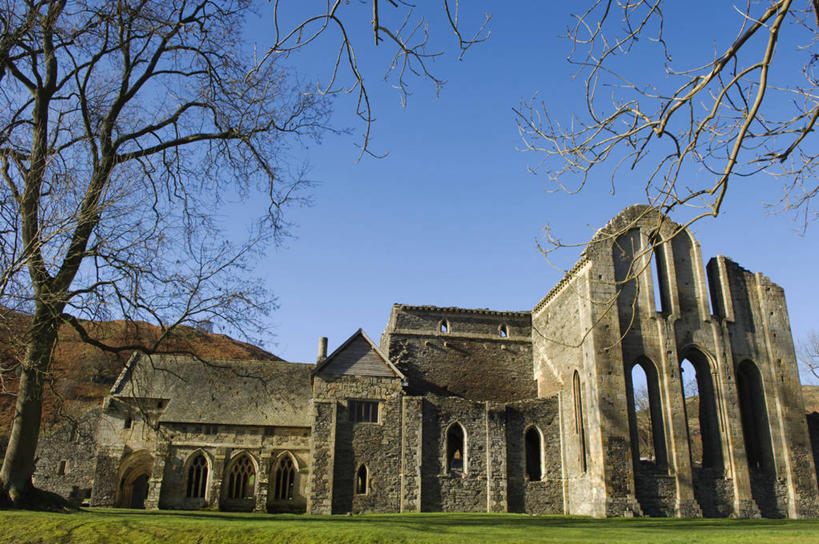 无人,横图,室外,美景,树林,白桦树,日光,英国,木制,地形,景观,冬天,小路,山谷,树,自然,景色,摄影,自然风光,威尔士,登比郡,彩图