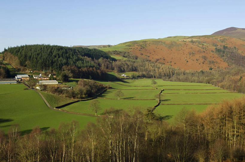 无人,农场,横图,室外,农业,牧场,美景,山脉,树林,日光,英国,地形,景观,田地,绿色,自然,景色,摄影,自然风光,威尔士,登比郡,彩图