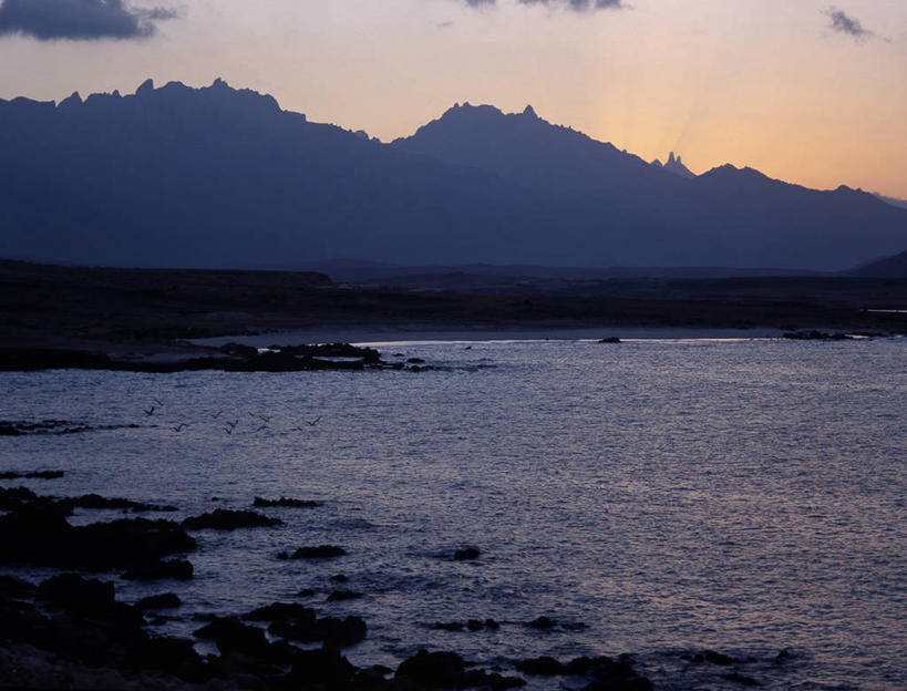 成年人,一个人,渔夫,竖图,渔业,也门,仅一个男性,网,鱼类,社区,摄影,印度洋,鱼网,男人,群岛,彩图,钓鱼,阿拉伯海