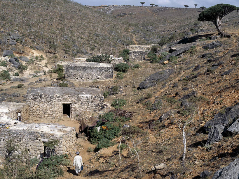 无人,横图,室外,也门,乡村,社区,摄影,住房,印度洋,群岛,彩图,贝多因人