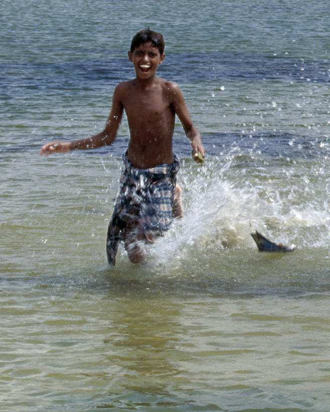 成年人,一个人,渔夫,横图,海浪,水,也门,仅一个男性,鱼类,摄影,印度洋,男人,群岛,彩图,钓鱼