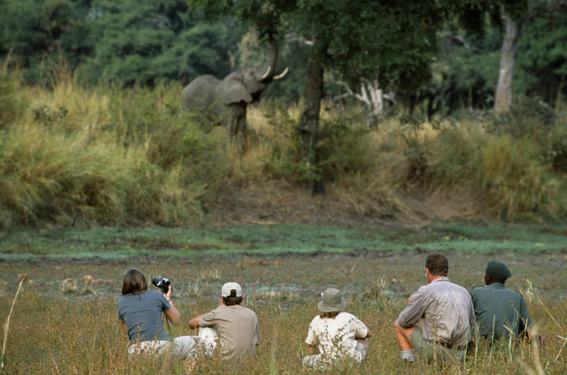 儿童,家庭,学生,教师,横图,室外,旅游,非洲,赞比亚,行人,游客,游人,乡村,教育,联系,路人,旅客,社区,教室,摄影,知识,国家公园,过客,彩图,南卢安瓜国家公园