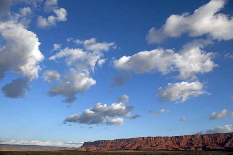无人,横图,彩色,室外,日落,哺乳动物,野生动物,津巴布韦,鸟类,红色,自然,黄昏,动物,橙色,摄影,五颜六色,色彩斑斓,剪影,五彩缤纷,非洲水牛,五彩斑斓,五光十色,彩图