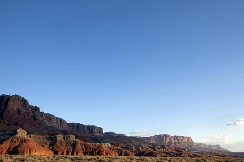 无人,横图,彩色,室外,日落,哺乳动物,野生动物,津巴布韦,鸟类,红色,自然,黄昏,动物,橙色,摄影,五颜六色,色彩斑斓,剪影,五彩缤纷,非洲水牛,五彩斑斓,五光十色,彩图