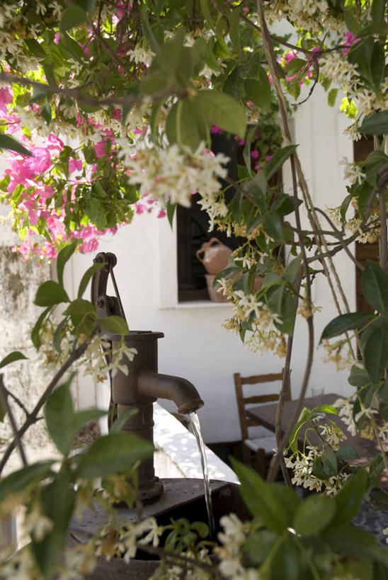 成年人,横图,沙漠,阿曼,放松,读书,摄影,中东,干的,波斯湾,沙岩,女人,彩图,阿拉伯半岛