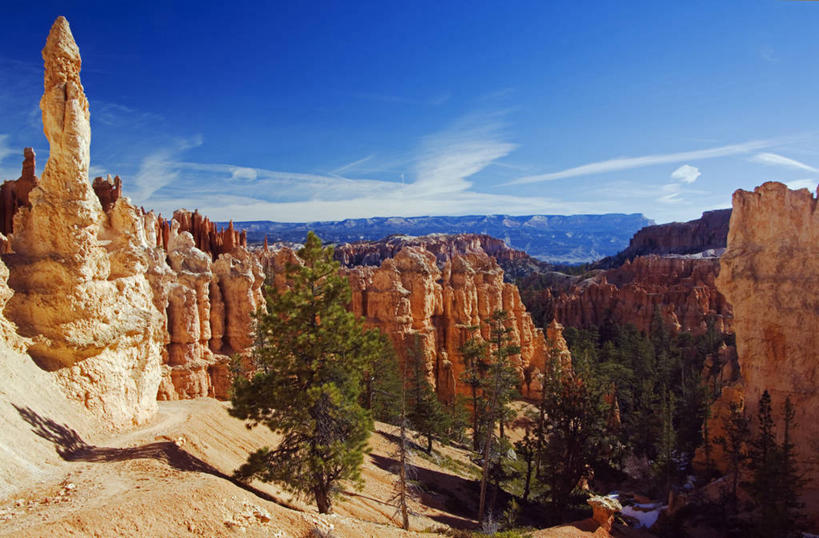 无人,横图,哺乳动物,野生动物,非洲,肯尼亚,动物,摄影,白犀牛,犀牛,彩图