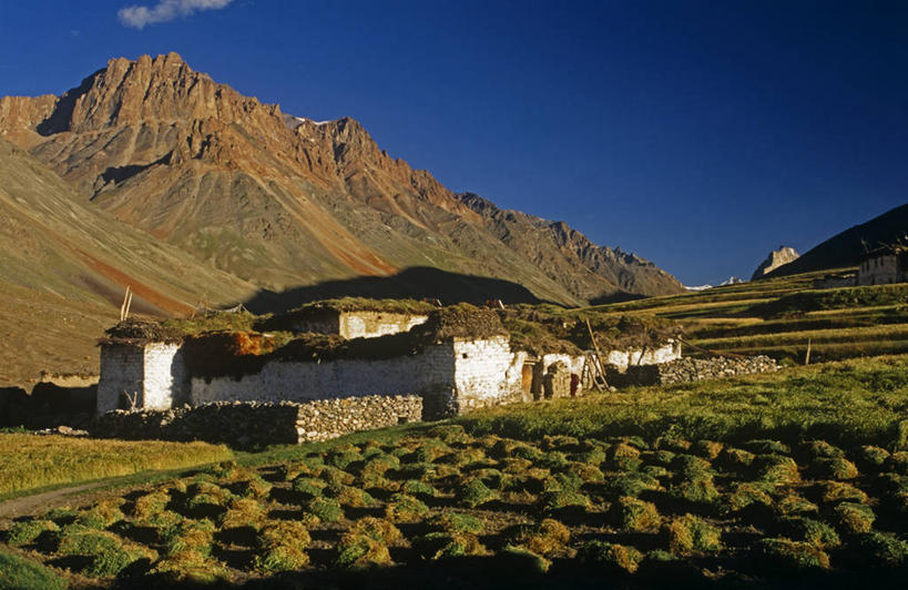 成年人,竖图,室外,马,印度,亚洲,小路,摄影,宗教,佛教,南亚,小马,喜马拉雅山脉,印度共和国,克什米尔,查谟.克什米尔,查谟.克什米尔邦,女人,修女,彩图,喀什米尔,克什米尔地区