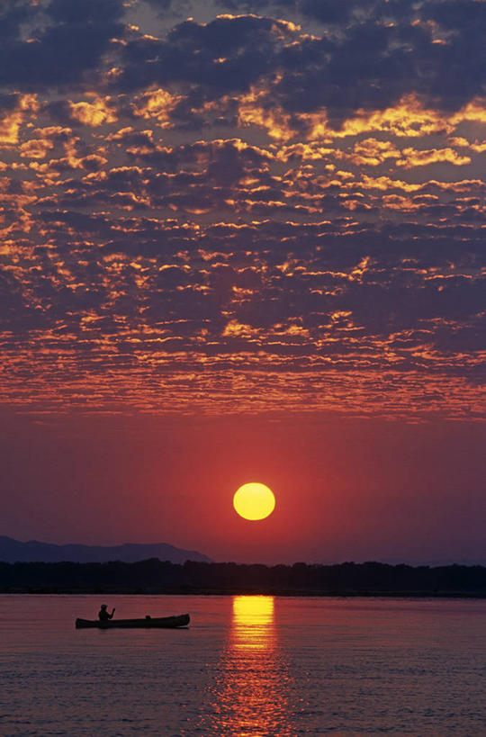 划船,无人,竖图,室外,日出,河流,水,太阳,船,赞比亚,地形,云,木船,黎明,天空,交通工具,摄影,宁静,桨,舟,国家公园,早晨,载具,独木舟,露营,赞比西河,卷积云,独木船,荡舟,彩图