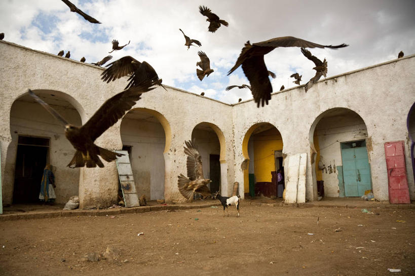 成年人,横图,购物,街道,水果,非洲,埃塞俄比亚,市场,货摊,地标建筑,摄影,伊斯兰教,贩卖,女人,彩图,柴火,联合国教科文组织