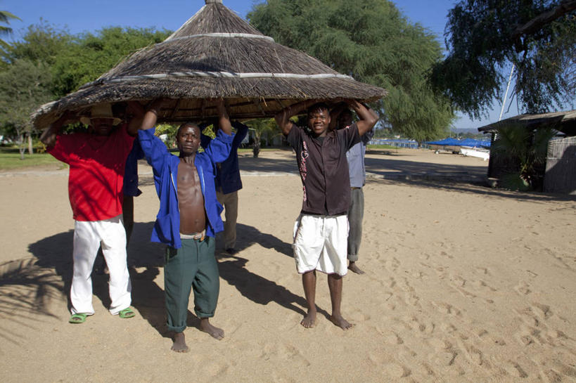 成年人,同事,横图,室外,成功,合作,团队,集体,信心,太阳,酒店,帽子,非洲,马拉维,工作,树荫,队伍,职业,摄影,领导,成就,运送,合伙,领袖,男人,海滩,彩图,旅行