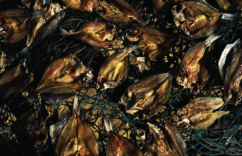 无人,横图,室外,白天,旅游,度假,塞内加尔,鱼干,食品,鱼类,摄影,渔网,干的,西非,圣路易,烘干,休闲活动,海产,彩图,钓鱼,旅行,传统文化