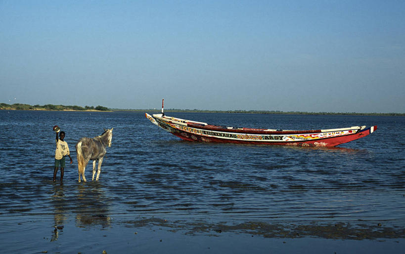 儿童,一个人,横图,室外,白天,旅游,度假,纯洁,河流,船,马,塞内加尔,仅一个男性,仅一个人,行人,游客,游人,工作,河岸,渔船,路人,旅客,小孩,仅一个小孩,可爱,童年,童趣,摄影,小马,童真,烂漫,无邪,西非,过客,圣路易,天真,男孩,男人,男性,非洲人,孩子,休闲活动,洗涤,彩图,钓鱼,旅行,男生,传统文化