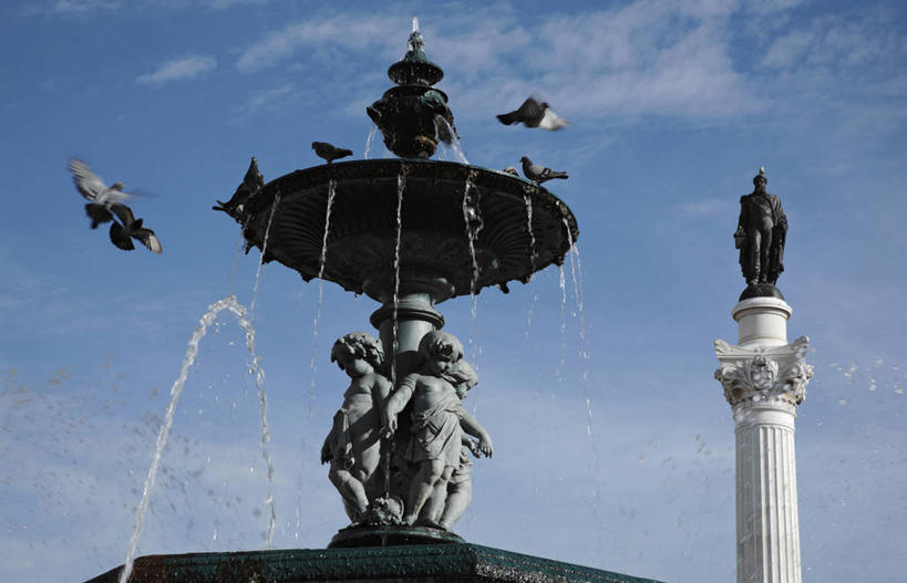 无人,横图,方图,喷泉,鸽子,雕塑,葡萄牙,欧洲,鸟类,雕像,柱子,首都,里斯本,摄影,小天使,纪念,留念,怀念,伊比利亚半岛,彩图