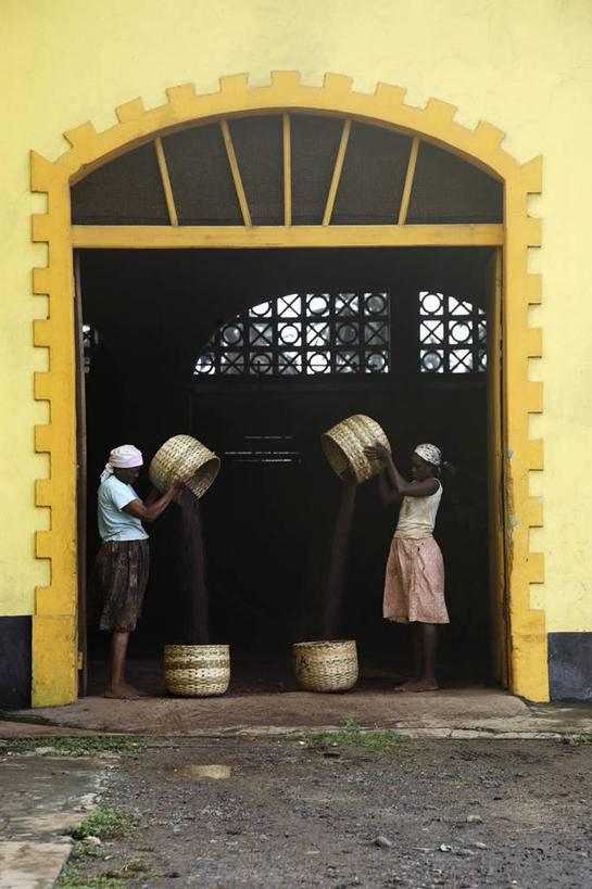 儿童,成年人,家,横图,街道,非洲,房屋,乡村,动物,社区,摄影,阿非利加洲,破败,圣普,普林西比,女人,彩图