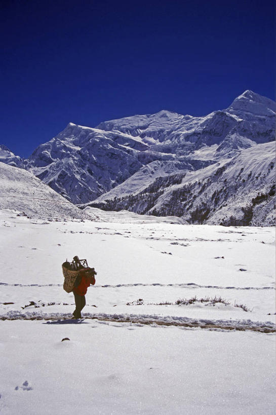 一个人,导游,竖图,室外,旅游,度假,探险,山,山脉,尼泊尔,亚洲,地形,高处,娱乐,白色,享受,休闲,放松,摄影,运送,努力,装货,喜马拉雅山脉,探险家,冒险,步行,彩图,门房