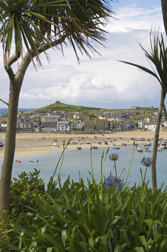 无人,竖图,室外,度假,海洋,棕榈树,英国,海岸线,城镇,海湾,渔船,英格兰,摄影,非洲百合,海滩,彩图,旅行,海港,西南英格兰