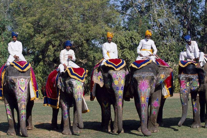 成年人,宫殿,横图,彩色,运动,印度,一排,整齐,装饰,头巾,排列,摄影,五颜六色,明亮,色彩斑斓,队列,作画,五彩缤纷,亚洲象,马球,拉贾斯坦邦,五彩斑斓,斋普尔,五光十色,男人,男性,象,彩图,传统文化