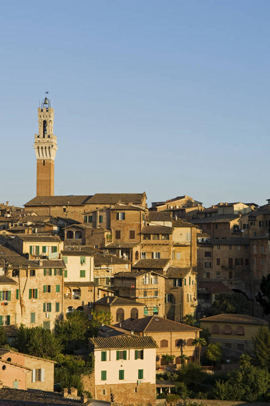 无人,广场,竖图,室外,度假,美景,城市风光,城市,建筑,意大利,欧洲,房屋,景观,城镇,塔,娱乐,享受,休闲,景色,放松,摄影,住房,锡耶纳,托斯卡纳区,曼贾塔钟楼,彩图,传统文化