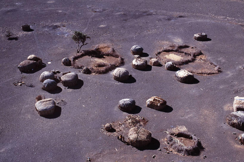 无人,农场,横图,室外,天线,非洲,肯尼亚,房屋,乡村,摄影,住房,非洲文化,彩图,小屋