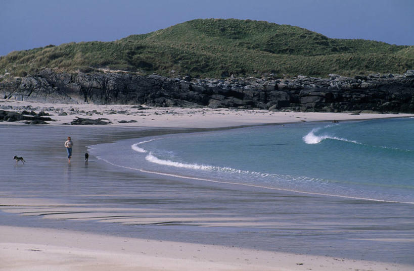 冲浪,儿童,成年人,无人,跑,横图,室外,锻炼,自由,海浪,狗,野生动物,沙子,苏格兰,自然,摄影,慢跑,潮汐,外赫布里底群岛,女孩,女人,海滩,彩图,斯普林斯班尼犬