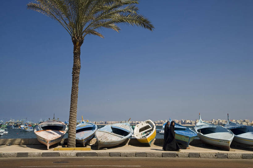 无人,码头,横图,港口,船,棕榈树,非洲,埃及,树,天空,摄影,中东,地中海文化,北非,埃及文化,彩图,摆渡口,埠头,渡口,渡头,港湾,海港,货运码头,口岸,商港,滨海路