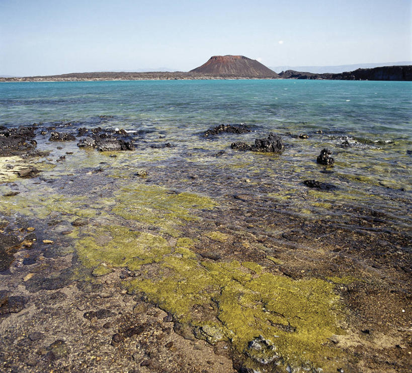 无人,横图,室外,海洋,火山,非洲,吉布提,熔岩,南美,摄影,地震,地质学,岩石,彩图