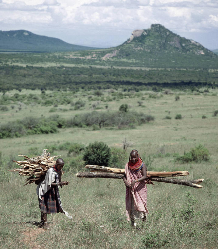 儿童,成年人,竖图,室外,生产线,山,山脉,非洲,肯尼亚,木制,地形,衣服,平原,压力,摄影,运送,非洲文化,女孩,女人,非洲人,彩图,传统服装,柴火,传统文化